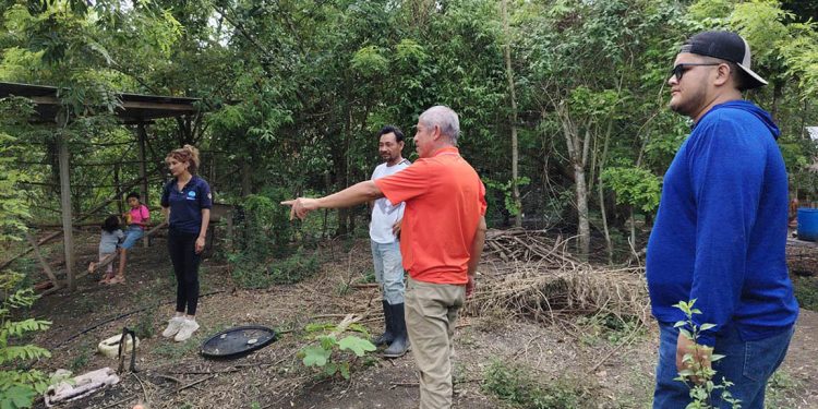 Productor de Sayaxché recibe asesoría para iniciar cultivo de tilapia