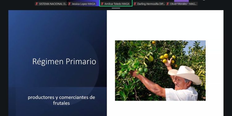 Productores y comerciantes conocen cómo cumplir con el Decreto 31-2024