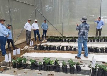 Promueven alianzas para impulsar la sostenibilidad e innovación en la educación agrícola
