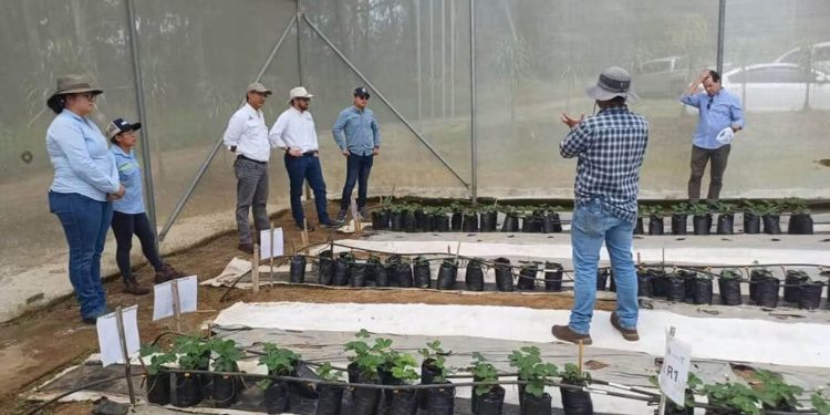 Promueven alianzas para impulsar la sostenibilidad e innovación en la educación agrícola