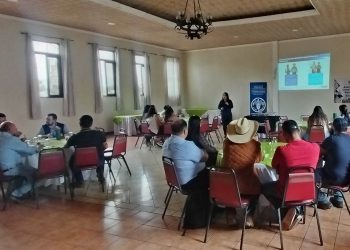 Promueven buenas prácticas normativas para abastecer el Programa de Alimentación Escolar