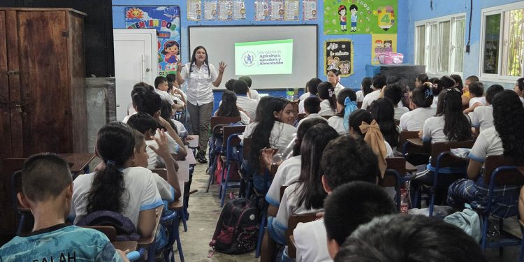 Promueven la agricultura sostenible y plantas medicinales con estudiantes de Izabal