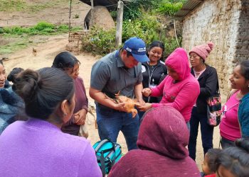 Protegen la producción de aves de traspatio en Jalapa