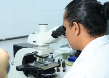 Realizados más de 5 mil diagnósticos fitosanitarios en lo que va del año