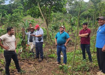 Realizan toma de coordenadas para definir límites entre San Felipe y El Palmar
