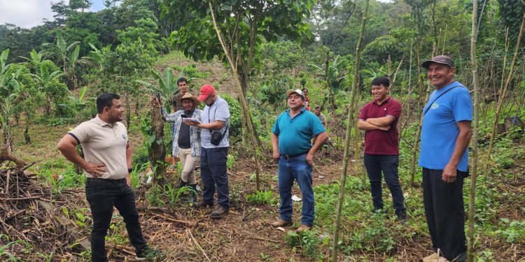 Realizan toma de coordenadas para definir límites entre San Felipe y El Palmar