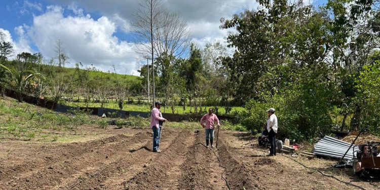Consulte aquí los boletines agroclimáticos de septiembre y octubre 2026