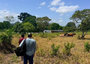 Se mantiene vigilancia agroclimática en 123 municipios debido al calor