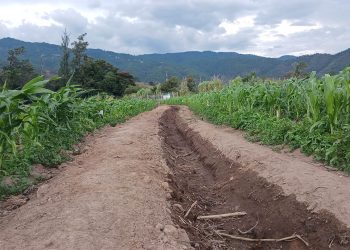 Sistema Keyline favorece el aprovechamiento de agua de lluvia en parcela de San Jerónimo