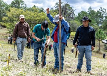 Técnicos aplican sistema Keyline en parcela de Huehuetenango