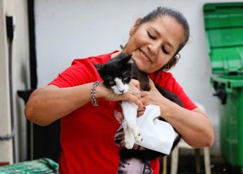 UBA realiza jornada de castración de gatos