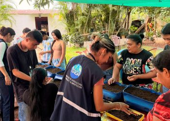 Un pequeño espacio se transforma en un huerto para producir alimentos