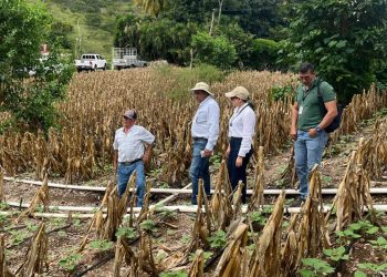 Verifican instalación de sistemas de riego tecnificado en San José La Arada