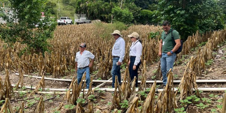 Verifican instalación de sistemas de riego tecnificado en San José La Arada