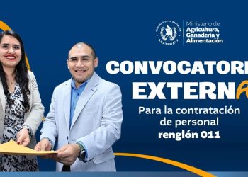Convocatoria externa para la contratación de personal renglón 011