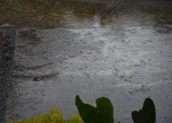 Mañana cálida y lluvias con actividad eléctrica por la tarde se prevén para este 4 de septiembre