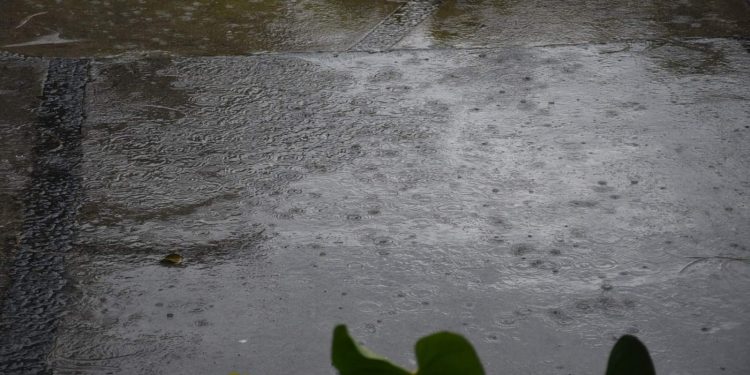 Mañana cálida y lluvias con actividad eléctrica por la tarde se prevén para este 4 de septiembre