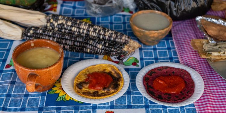 Conmemoran el Día Nacional del Maíz
