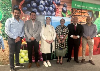Guatemala explora inversión y exportación con gigante agroalimentario peruano