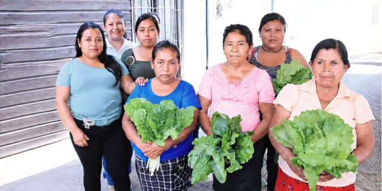 Más oportunidades para las mujeres del campo