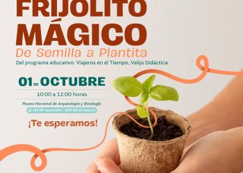 Niños descubrirán el crecimiento de las plantas en divertido taller