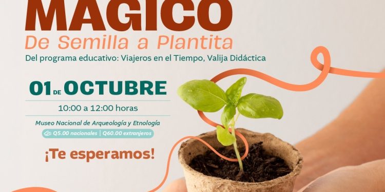 Niños descubrirán el crecimiento de las plantas en divertido taller