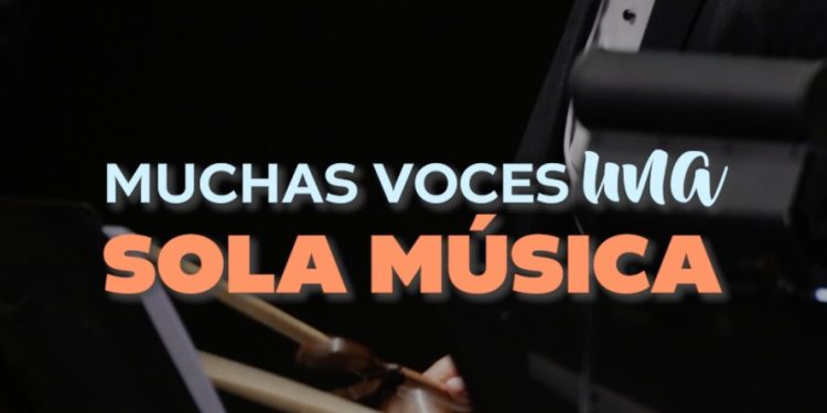 Descubre el papel de cada instrumento en la orquesta sinfónica