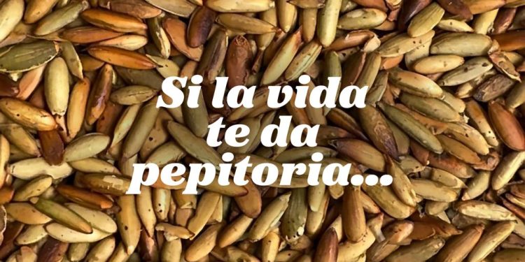 Los recados mayas llevan el sabor de Guatemala hacia la UNESCO