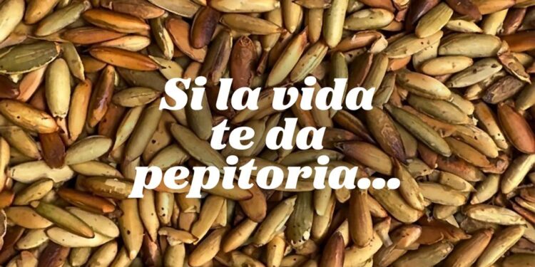 Los recados mayas llevan el sabor de Guatemala hacia la UNESCO