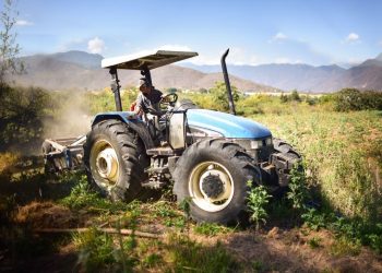 21 de septiembre | Día Nacional del Agricultor y del Empresario Agrícola