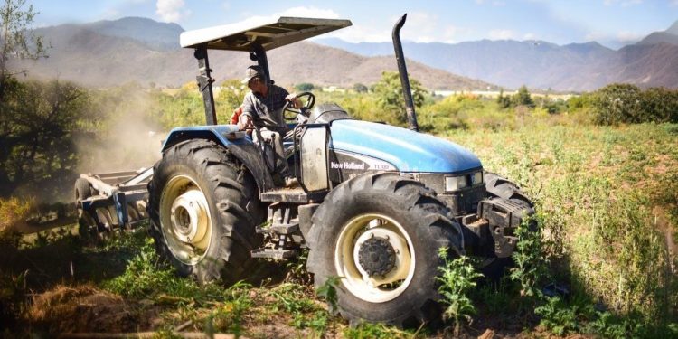 21 de septiembre | Día Nacional del Agricultor y del Empresario Agrícola