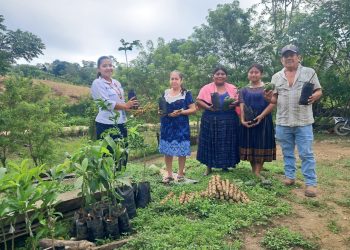 La diversificación de cultivos fortalece la seguridad alimentaria en San Luis, Petén