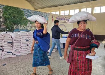 Entregan insumos a familias agricultoras para fortalecer la producción de alimentos