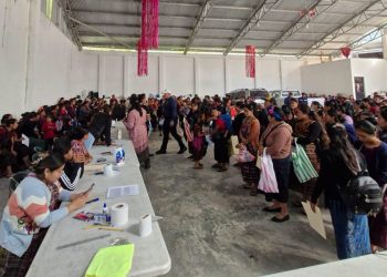 Así funciona el programa Alimentos por Acciones (APA)