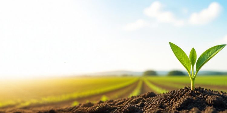 Fortalezcamos nuestros conocimientos para impulsar el sector agropecuario