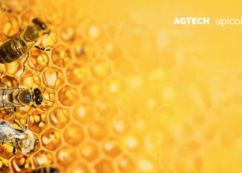Mañana, la apicultura también se transforma con innovación