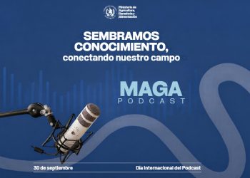 Hoy celebramos el poder de las voces que conectan