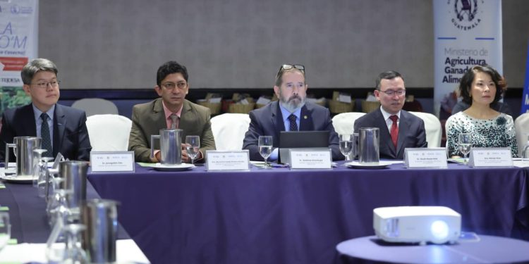 Proyecto de cooperación fortalece los medios de vida de más de tres mil familias en Quiché