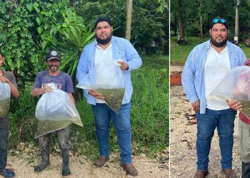 Productores de El Chal fortalecen su producción acuícola