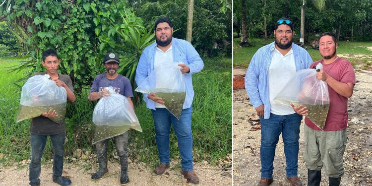 Productores de El Chal fortalecen su producción acuícola