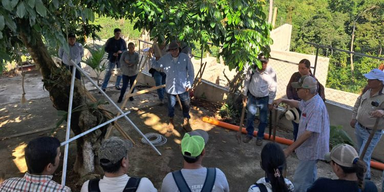 Avanza implementación del programa Suelos y Agua para el Futuro en la costa sur