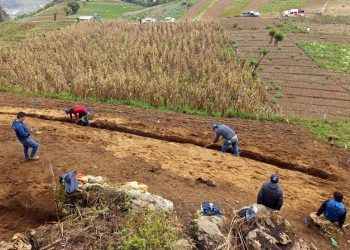 Con el programa Suelos y Agua para el Futuro, las parcelas se transforman y son más funcionales