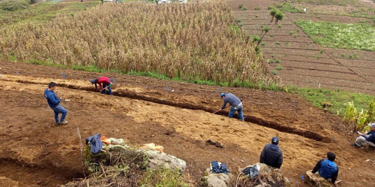 Con el programa Suelos y Agua para el Futuro, las parcelas se transforman y son más funcionales