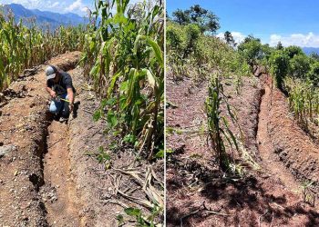 Supervisan implementación del programa Suelos y Agua para el Futuro en La Unión