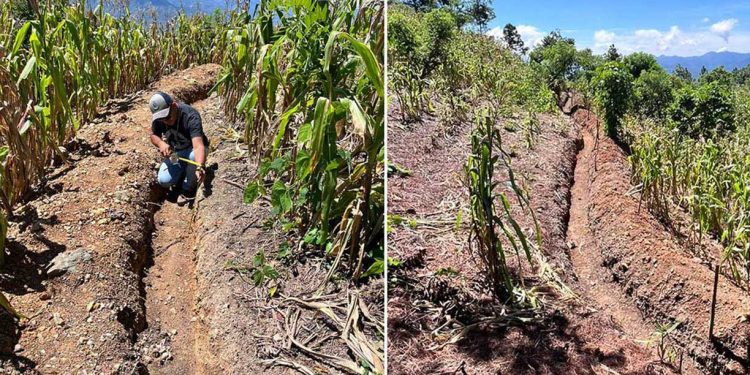 Supervisan implementación del programa Suelos y Agua para el Futuro en La Unión