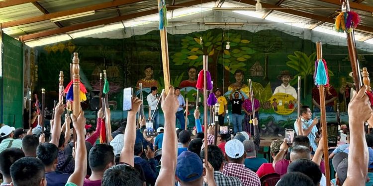 Renovación de representación social llega al nivel regional
