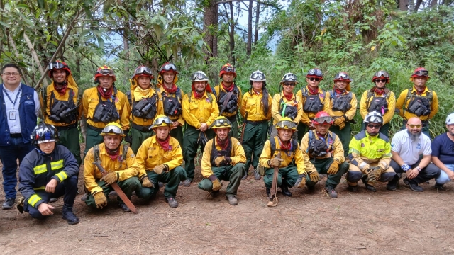 Coordinación interinstitucional abre camino a la certificación oficial de Bomberos Forestales