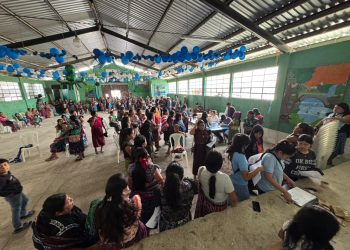 Entregan insumos a familias agricultoras de San Andrés Sajcabajá