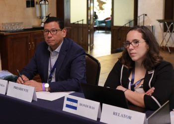 Mesas técnicas del OIRSA analizan medidas para prevenir y atender riesgos del sector agropecuario regional