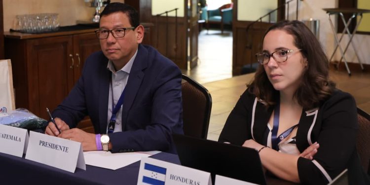 Mesas técnicas del OIRSA analizan medidas para prevenir y atender riesgos del sector agropecuario regional